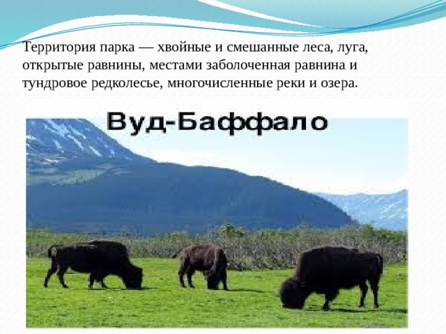 Территория парка — хвойные и смешанные леса, луга, открытые равнины, местами заболоченная равнина и тундровое редколесье, многочисленные реки и озера.  