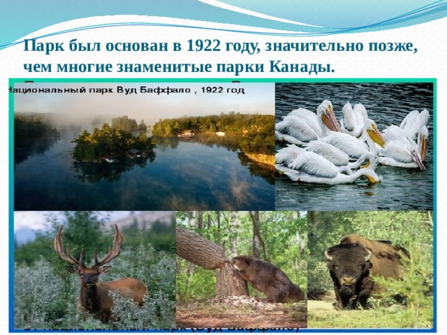 Парк был основан в 1922 году, значительно позже, чем многие знаменитые парки Канады. 