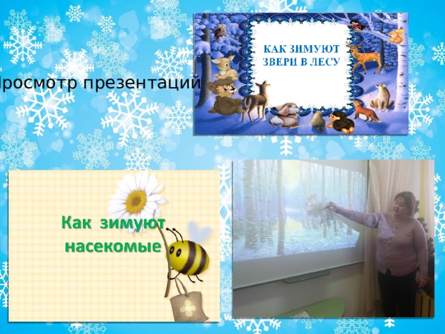 Просмотр презентаций 