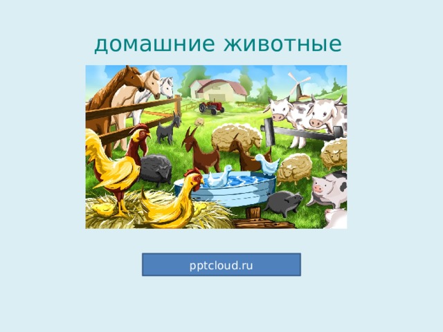  домашние животные pptcloud.ru 