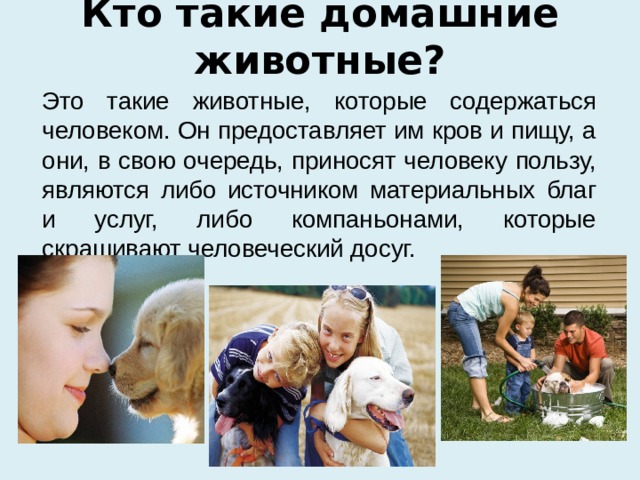 Кто такие домашние животные?  Это такие животные, которые содержаться человеком. Он предоставляет им кров и пищу, а они, в свою очередь, приносят человеку пользу, являются либо источником материальных благ и услуг, либо компаньонами, которые скрашивают человеческий досуг. 