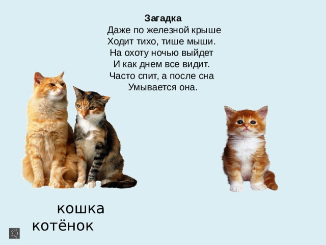 Загадка   Даже по железной крыше  Ходит тихо, тише мыши.  На охоту ночью выйдет  И как днем все видит.  Часто спит, а после сна  Умывается она.  кошка котёнок 