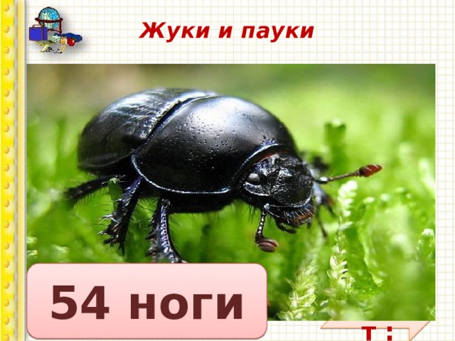 Жуки и пауки   Вопрос: сколько ног у жука? Сколько ног у паука? У меня в одной коробке три жука, А в другой имею я три паука. В уголке шуршат бумагой два ежа, А в двух клетках распевают два чижа. Кто, ребята, сосчитать бы мне помог, Сколько вместе все они имеют ног? 54 ноги Ответ : 