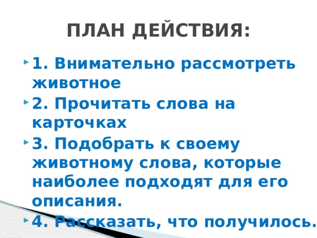 ПЛАН ДЕЙСТВИЯ: