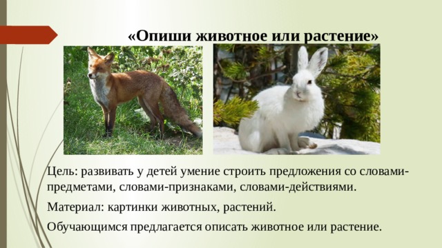 «Опиши животное или растение»   Цель: развивать у детей умение строить предложения со словами-предметами, словами-признаками, словами-действиями. Материал: картинки животных, растений. Обучающимся предлагается описать животное или растение. 