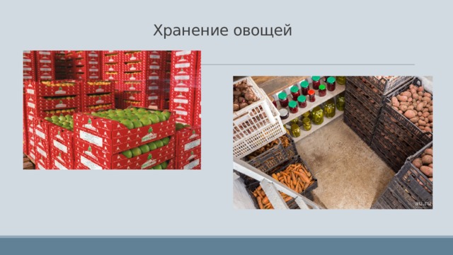 Хранение овощей 