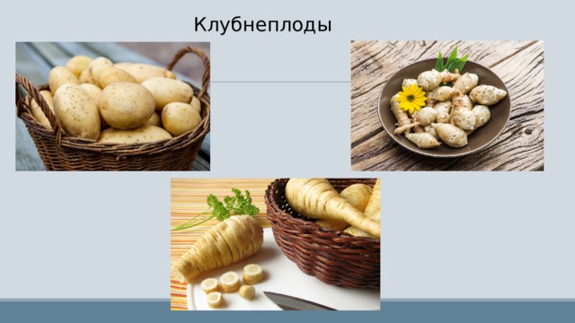 Клубнеплоды 