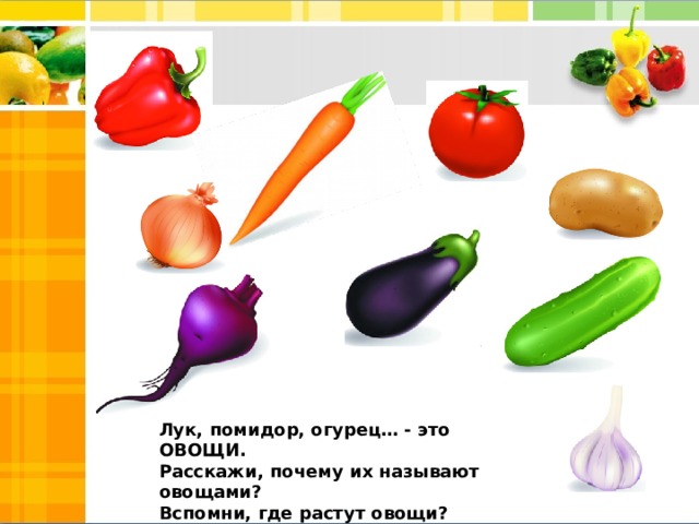 Лук, помидор, огурец… - это ОВОЩИ. Расскажи, почему их называют овощами? Вспомни, где растут овощи? Какую пользу приносят овощи? 