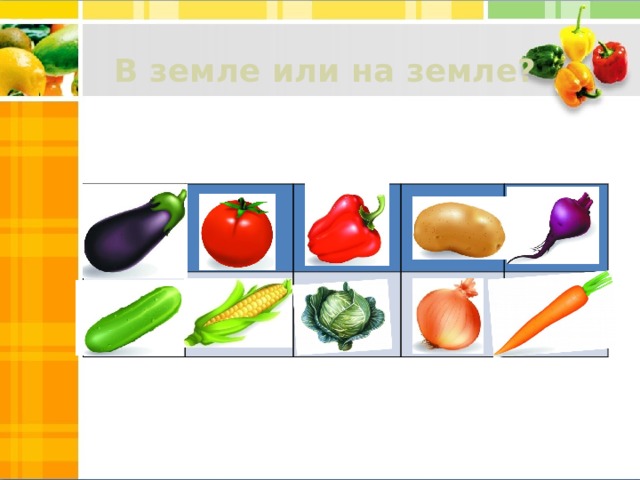 В земле или на земле?      