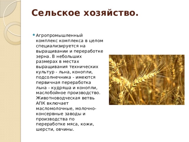 Сельское хозяйство.   Агропромышленный комплекс комплекса в целом специализируется на выращивании и переработке зерна. В небольших размерах в местах выращивания технических культур - льна, конопли, подсолнечника - имеются первичная переработка льна - кудряша и конопли, маслобойное производство. Животноводческая ветвь АПК включает масломолочные, молочно-консервные заводы и производства по переработке мяса, кожи, шерсти, овчины. 