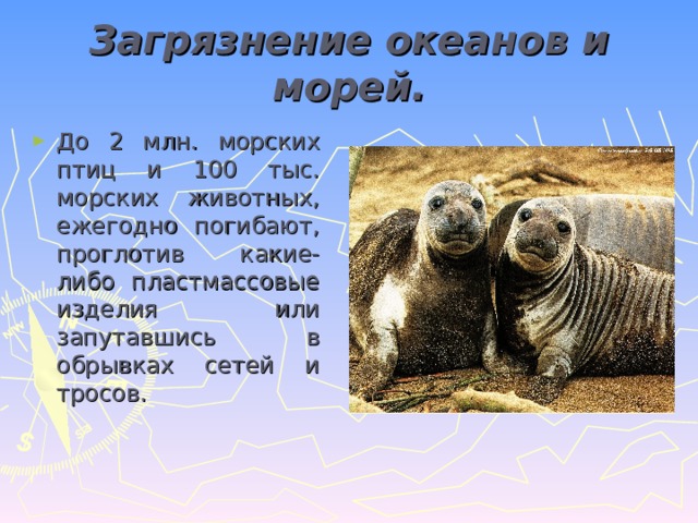 Загрязнение океанов и морей. До 2 млн. морских птиц и 100 тыс. морских животных, ежегодно погибают, проглотив какие-либо пластмассовые изделия или запутавшись в обрывках сетей и тросов. 