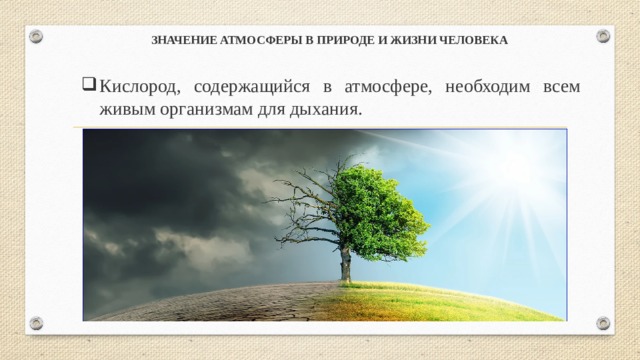 ЗНАЧЕНИЕ АТМОСФЕРЫ В ПРИРОДЕ И ЖИЗНИ ЧЕЛОВЕКА  Кислород, содержащийся в атмосфере, необходим всем живым организмам для дыхания.  