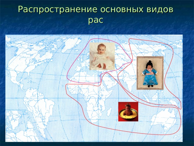 Распространение основных видов рас 