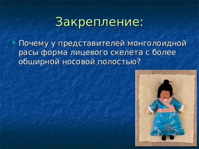 Закрепление: Почему у представителей монголоидной расы форма лицевого скелета с более обширной носовой полостью? 