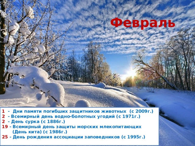 Февраль 1   -  Дни памяти погибших защитников животных  (с 2009г.)  2   - Всемирный день водно-болотных угодий (с 1971г.)  2   - День сурка (с 1886г.)  19  - Всемирный день защиты морских млекопитающих         (День кита) (с 1986г.) 25  - День рождения ассоциации заповедников (с 1995г.)  