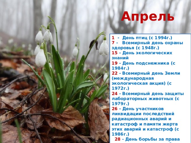Апрель 1  -  День птиц (с 1994г.)  7  -   Всемирный день охраны здоровья (с 1948г.)  15  - День экологических знаний  19  - День подснежника (с 1984г.)  22  - Всемирный день Земли (международная экологическая акция) (с 1972г.)  24  - Всемирный день защиты лабораторных животных (с 1979г.) 26  - День участников ликвидации последствий радиационных аварий и катастроф и памяти жертв этих аварий и катастроф (с 1986г.)   28  - День борьбы за права человека от химической опасности (День химической безопасности) (с 1997г.)    