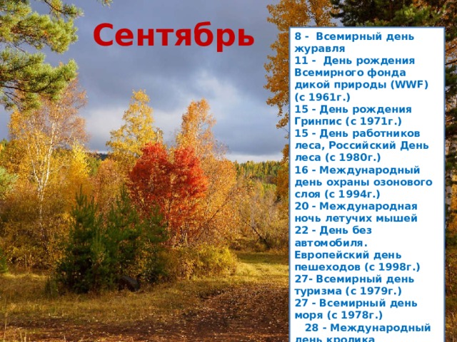 Сентябрь 8 -  Всемирный день журавля  11 -  День рождения Всемирного фонда дикой природы (WWF) (с 1961г.)  15 - День рождения Гринпис (с 1971г.)  15 - День работников леса, Российский День леса (с 1980г.)  16 - Международный день охраны озонового слоя (с 1994г.)  20 - Международная ночь летучих мышей  22 - День без автомобиля. Европейский день пешеходов (с 1998г.) 27- Всемирный день туризма (с 1979г.) 27 - Всемирный день моря (с 1978г.) 28 - Международный день кролика 