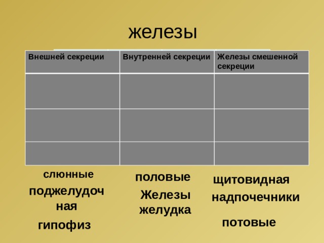 железы Внешней секреции Внутренней секреции Железы смешенной секреции слюнные половые щитовидная поджелудочная надпочечники Железы желудка потовые гипофиз 