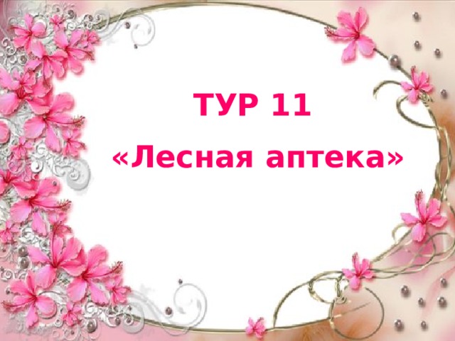 ТУР 11 «Лесная аптека» 