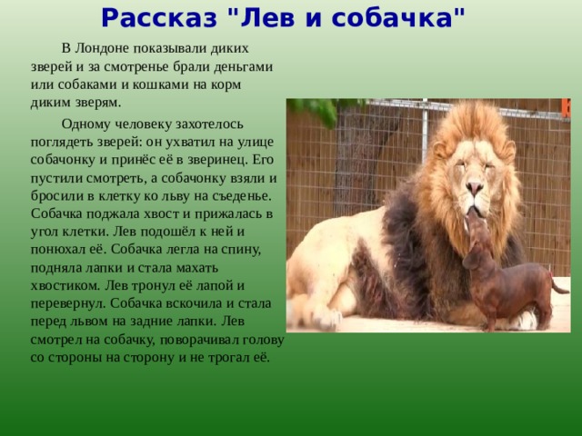 Рассказ 