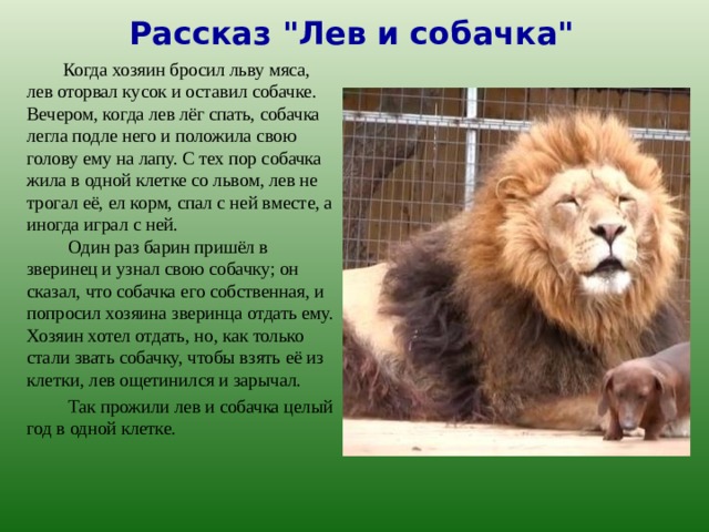 Рассказ 