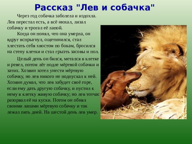 Рассказ 