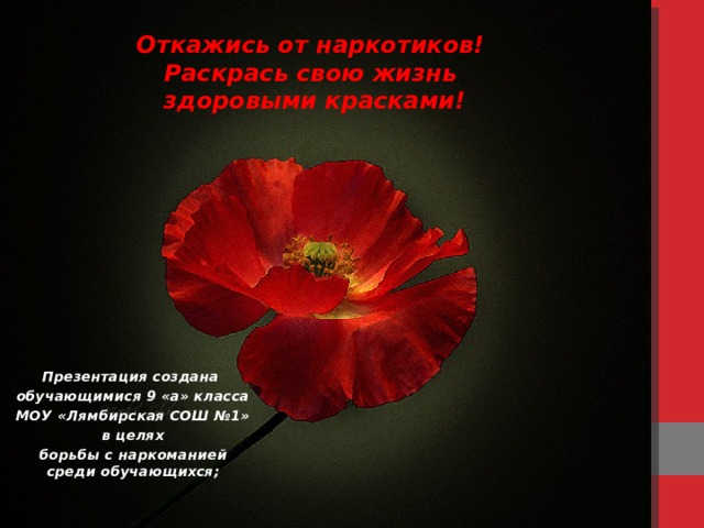Откажись от наркотиков!  Раскрась свою жизнь  здоровыми красками! Презентация создана обучающимися 9 «а» класса МОУ «Лямбирская СОШ №1» в целях борьбы с наркоманией среди обучающихся;  