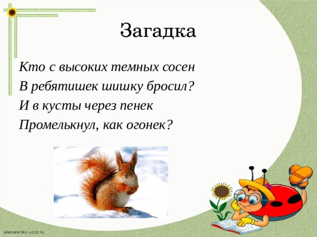 Загадка Кто с высоких темных сосен В ребятишек шишку бросил? И в кусты через пенек Промелькнул, как огонек? 