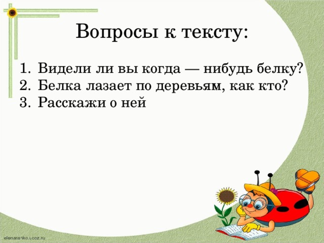 Вопросы к тексту: Видели ли вы когда — нибудь белку? Белка лазает по деревьям, как кто? Расскажи о ней 