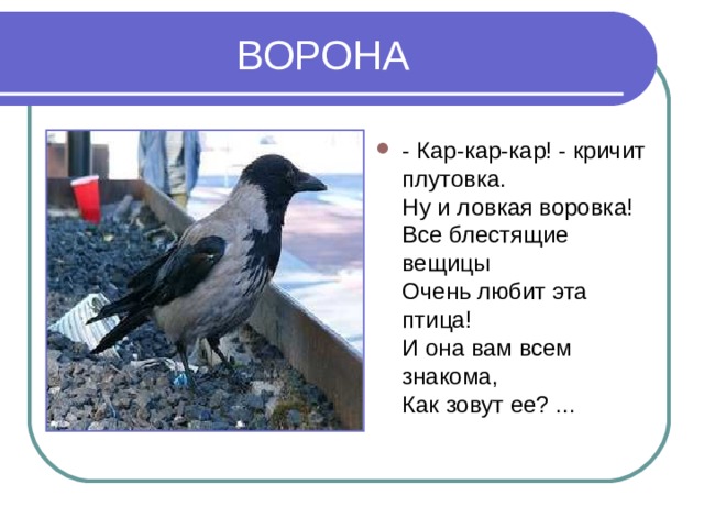 ВОРОНА - Кар-кар-кар! - кричит плутовка.  Ну и ловкая воровка!  Все блестящие вещицы  Очень любит эта птица!  И она вам всем знакома,  Как зовут ее? ... 