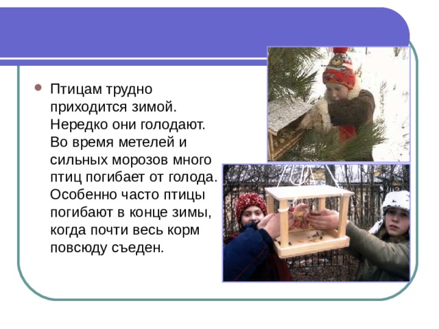 Птицам трудно приходится зимой. Нередко они голодают. Во время метелей и сильных морозов много птиц погибает от голода. Особенно часто птицы погибают в конце зимы, когда почти весь корм повсюду съеден. 
