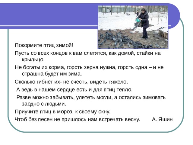 Покормите птиц зимой! Пусть со всех концов к вам слетятся, как домой, стайки на крыльцо. Не богаты их корма, горсть зерна нужна, горсть одна – и не страшна будет им зима. Сколько гибнет их- не счесть, видеть тяжело.  А ведь в нашем сердце есть и для птиц тепло.  Разве можно забывать, улететь могли, а остались зимовать заодно с людьми. Приучите птиц в мороз, к своему окну. Чтоб без песен не пришлось нам встречать весну. А. Яшин 