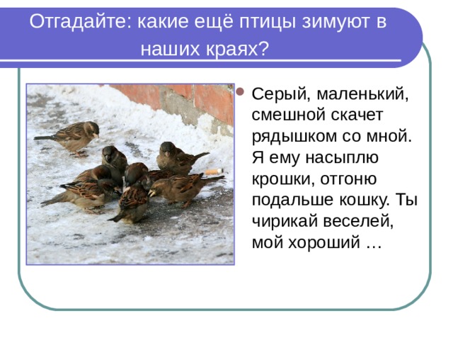 Отгадайте: какие ещё птицы зимуют в наших краях?  Серый, маленький, смешной скачет рядышком со мной. Я ему насыплю крошки, отгоню подальше кошку. Ты чирикай веселей, мой хороший … 