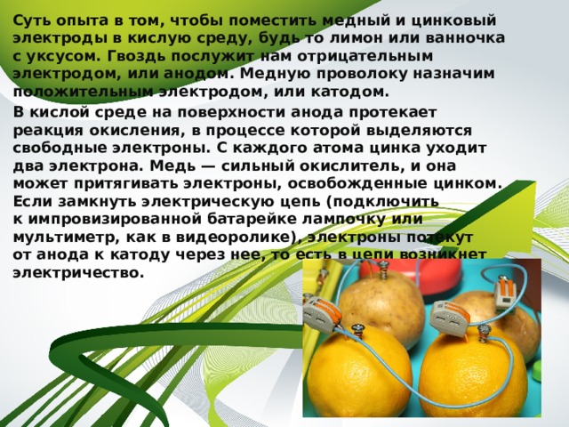 Суть опыта в том, чтобы поместить медный и цинковый электроды в кислую среду, будь то лимон или ванночка с уксусом. Гвоздь послужит нам отрицательным электродом, или анодом. Медную проволоку назначим положительным электродом, или катодом. В кислой среде на поверхности анода протекает реакция окисления, в процессе которой выделяются свободные электроны. С каждого атома цинка уходит два электрона. Медь — сильный окислитель, и она может притягивать электроны, освобожденные цинком. Если замкнуть электрическую цепь (подключить к импровизированной батарейке лампочку или мультиметр, как в видеоролике), электроны потекут от анода к катоду через нее, то есть в цепи возникнет электричество. 