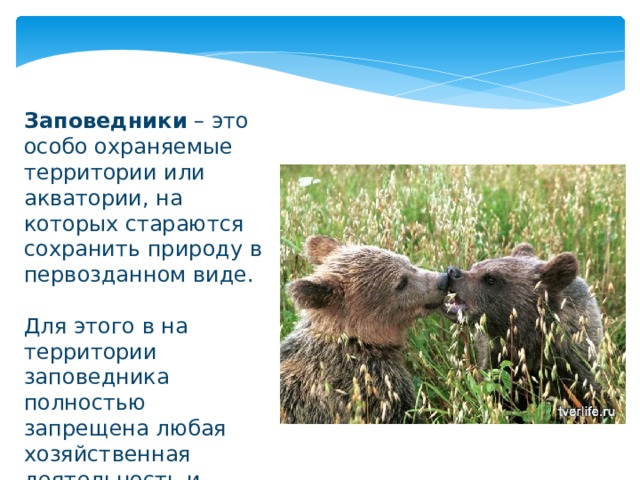 Заповедники – это особо охраняемые территории или акватории, на которых стараются сохранить природу в первозданном виде. Для этого в на территории заповедника полностью запрещена любая хозяйственная деятельность и туризм . 