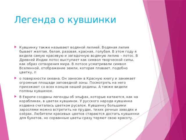 Легенда о кувшинки Кувшинку также называют водяной лилией. Водяная лилия бывает желтая, белая, разовая, красная, голубая. В этом году я видела самую красивую и загадочную водяную лилию – лотос. В Древней Индии лотос выступает как символ творческой силы, как образ сотворения мира. В лотосе усматривали символ Вселенной, отображение земли, которая плавает, подобно цветку, п о поверхности океана. Он занесен в Красную книгу и занимает огромные площади заповедной зоны. Посмотреть на него приезжают со всех концов нашей родины. А также видели поляны кувшинок. В Европе созданы легенды об эльфах, которые   катаются, как на корабликах, в цветах кувшинок. У русского народа кувшинка издавна считалась цветком русалок. Кувшинку большими зарослями можно встретить на прудах, тихих речных заводях и озёрах. Любители красивых цветов стараются достать кувшинки для букетов, но сорванные цветы сразу теряют свою красоту.  