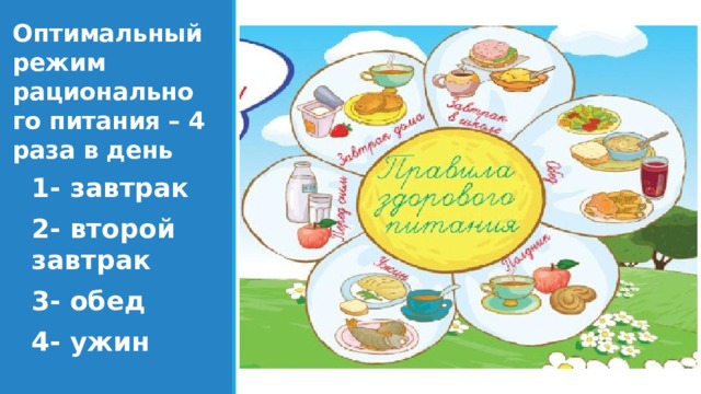 Оптимальный режим рационального питания – 4 раза в день 1- завтрак 2- второй завтрак 3- обед 4- ужин 