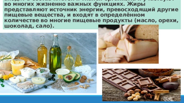 Жиры -важный компонент в питании человека. Они входят в состав клеток и тканей организма и участвуют во многих жизненно важных функциях. Жиры представляют источник энергии, превосходящий другие пищевые вещества, и входят в определённом количестве во многие пищевые продукты (масло, орехи, шоколад, сало). 