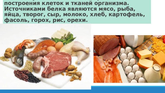 Белки служат основным материалом для построения клеток и тканей организма. Источниками белка являются мясо, рыба, яйца, творог, сыр, молоко, хлеб, картофель, фасоль, горох, рис, орехи. 