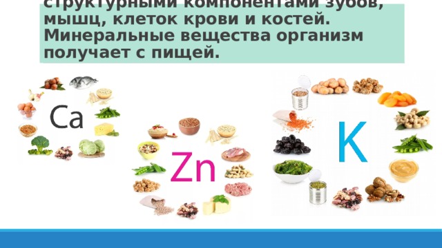 Минеральные вещества служат структурными компонентами зубов, мышц, клеток крови и костей. Минеральные вещества организм получает с пищей. 