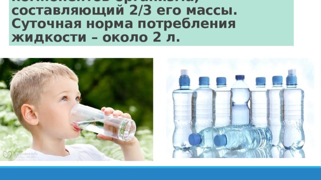 Вода – один из наиболее важных компонентов организма, составляющий 2/3 его массы. Суточная норма потребления жидкости – около 2 л. 