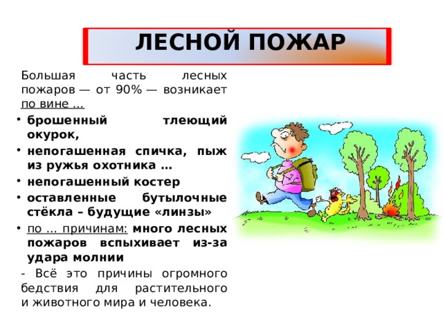 ЛЕСНОЙ ПОЖАР Большая часть лесных пожаров — от 90% — возникает по вине … брошенный тлеющий окурок, непогашенная спичка, пыж из ружья охотника … непогашенный костер оставленные бутылочные стёкла – будущие «линзы» по … причинам:  много лесных пожаров вспыхивает из-за удара молнии - Всё это причины огромного бедствия для растительного и животного мира и человека. 