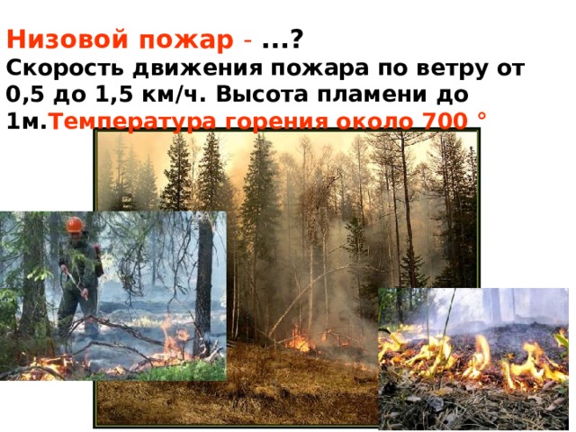 Низовой пожар - ...?  Скорость движения пожара по ветру от 0,5 до 1,5 км/ч. Высота пламени до 1м. Температура горения около 700 °  
