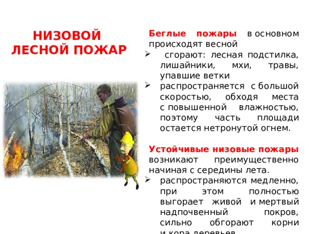 НИЗОВОЙ Беглые пожары в основном происходят весной ЛЕСНОЙ ПОЖАР  сгорают: лесная подстилка, лишайники, мхи, травы, упавшие ветки распространяется с большой скоростью, обходя места с повышенной влажностью, поэтому часть площади остается нетронутой огнем. Устойчивые низовые пожары  возникают преимущественно начиная с середины лета. распространяются медленно, при этом полностью выгорает живой и мертвый надпочвенный покров, сильно обгорают корни и кора деревьев 