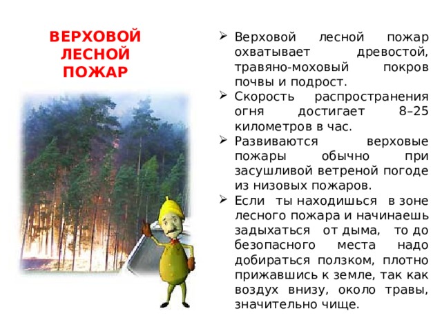 Верховой лесной пожар охватывает древостой, травяно-моховый покров почвы и подрост. Скорость распространения огня достигает 8–25 километров в час. Развиваются верховые пожары обычно при засушливой ветреной погоде из низовых пожаров. Если ты находишься в зоне лесного пожара и начинаешь задыхаться от дыма, то до безопасного места надо добираться ползком, плотно прижавшись к земле, так как воздух внизу, около травы, значительно чище. ВЕРХОВОЙ ЛЕСНОЙ ПОЖАР 