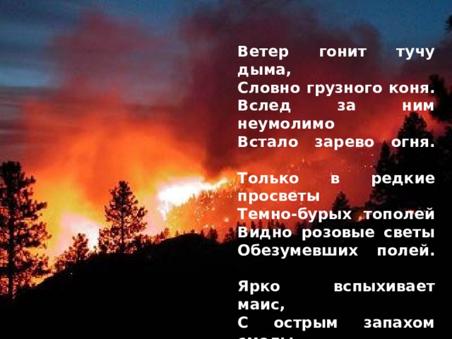Ветер гонит тучу дыма,  Словно грузного коня.  Вслед за ним неумолимо  Встало зарево огня.   Только в редкие просветы  Темно-бурых тополей  Видно розовые светы  Обезумевших полей.   Ярко вспыхивает маис,  С острым запахом смолы,  И, шипя и разгораясь,  В пламя падают стволы.    