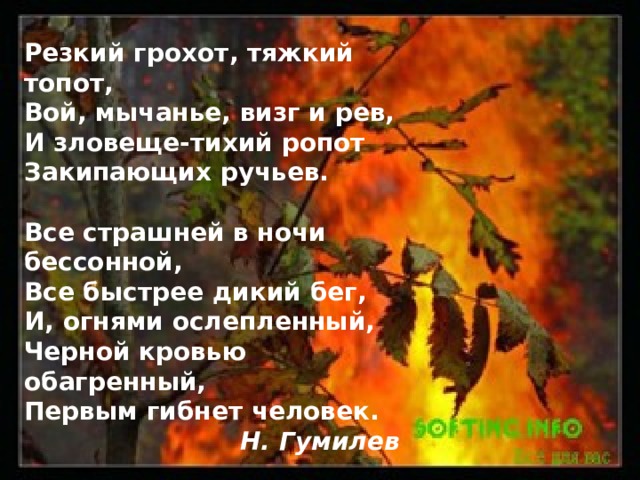 Резкий грохот, тяжкий топот,  Вой, мычанье, визг и рев,  И зловеще-тихий ропот  Закипающих ручьев.  Все страшней в ночи бессонной,  Все быстрее дикий бег,  И, огнями ослепленный,  Черной кровью обагренный,  Первым гибнет человек. Н. Гумилев 