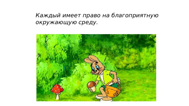 Каждый имеет право на благоприятную окружающую среду. 