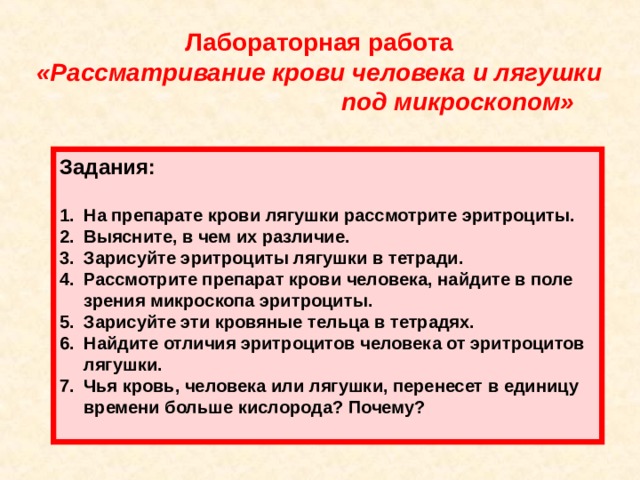 Лабораторная работа «Рассматривание крови человека и лягушки  под микроскопом» Задания:  На препарате крови лягушки рассмотрите эритроциты. Выясните, в чем их различие. Зарисуйте эритроциты лягушки в тетради. Рассмотрите препарат крови человека, найдите в поле зрения микроскопа эритроциты. Зарисуйте эти кровяные тельца в тетрадях. Найдите отличия эритроцитов человека от эритроцитов лягушки. Чья кровь, человека или лягушки, перенесет в единицу  времени больше кислорода? Почему?   