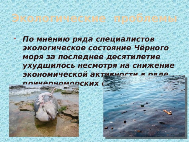 Экологические проблемы По мнению ряда специалистов экологическое состояние Чёрного моря за последнее десятилетие ухудшилось несмотря на снижение экономической активности в ряде причерноморских стран. 